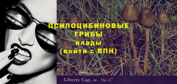 мескалин Гусев