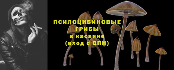 a pvp Гусь-Хрустальный