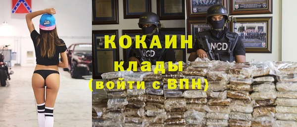 a pvp Гусь-Хрустальный