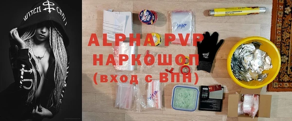 прущие грибы Дмитров