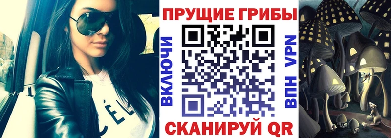 как найти закладки Волосово Псилоцибиновые грибы MAGIC MUSHROOMS